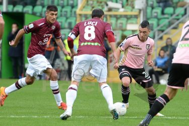 Palermo Ternana ex