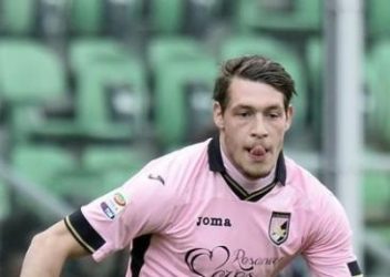 belotti