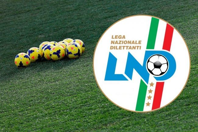 CAmpionati provinciali e regionali