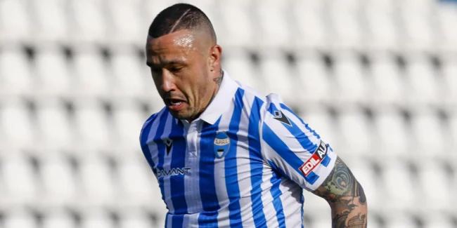 Spal Nainggolan