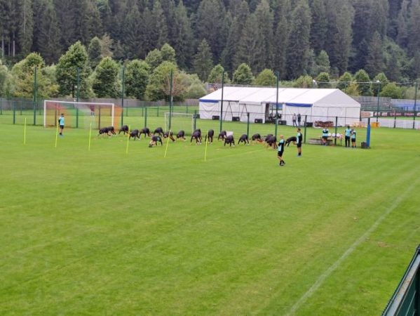 Palermo allenamento