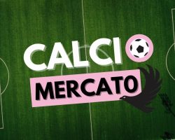 Palermo, liste e situazione contrattuale alla vigilia del mercato