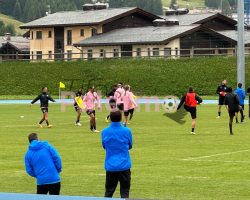 Palermo, report sull’allenamento odierno: la nota del club