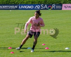 Nikolaou: «Palermo, lottiamo insieme»