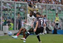 Palermo Cesena highlights