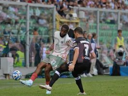 Palermo Cesena highlights