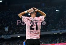 Napoli Palermo highlights