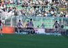 Palermo-Salernitana highlights