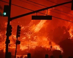 Incendi Los Angeles: distrutta la Sunset Boulevard. “Città spettrale”