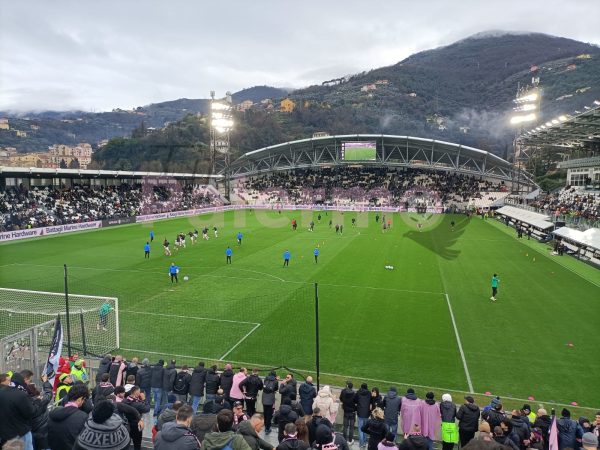 Spezia Palermo highlights